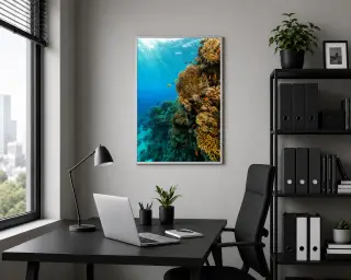 Ofis